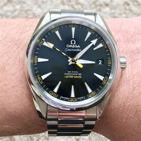 omega aqua terra bumblebee.